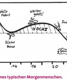 Achte auf deinen Biorhythmus -nhier siehst du die Leistungskurve bzw. die Biorhythmuskurve eines typischen Morgenmenschen