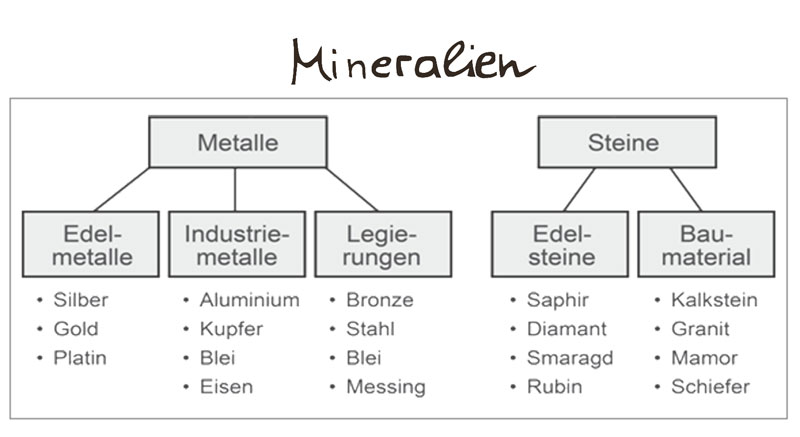 Category Management - Mehr Umsatz mit cleveren Kategorien - Lerneffekte