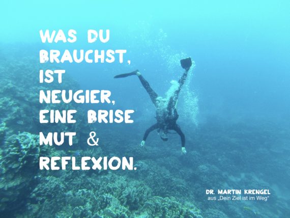 mit neugier-mut-reflexion ans Ziel - schoenes kurzes Zitat von Dr Martin Krengel aus dem Motivationsratgeber Dein Ziel ist im Weg 